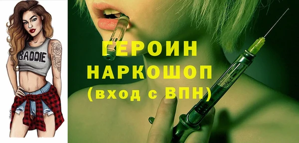 индика Козельск