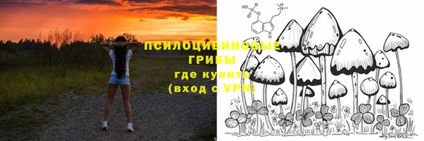 метадон Краснослободск
