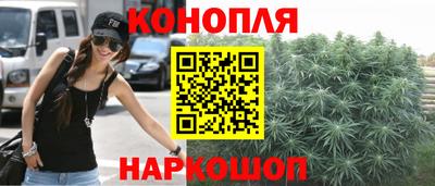 МДПВ Камышлов