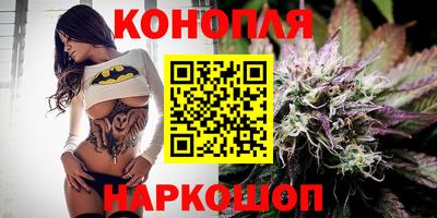 МДПВ Камышлов
