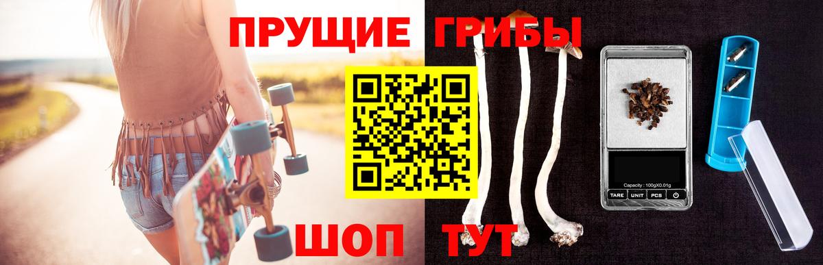 Кстово  Галлюциногенные грибы прущие грибы  Вход с VPN  Галлюциногенные грибы Psilocybe 